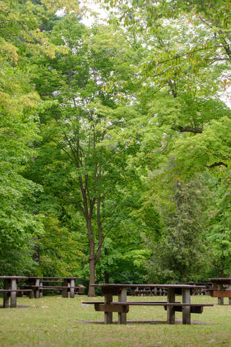 Ottawa: Summer Cycling '21