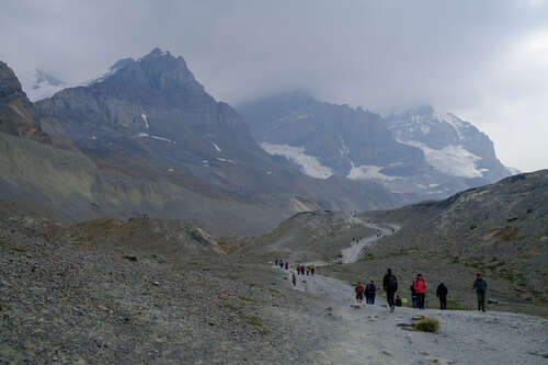 Athabasca Glacier Trail