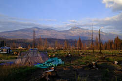 Camping at Whistlers Campground in Jasper