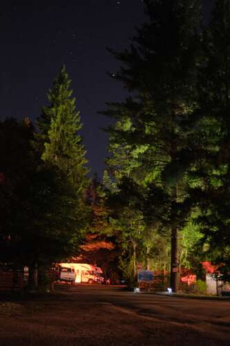 Camping in Revelstoke