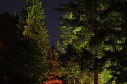 Camping in Revelstoke