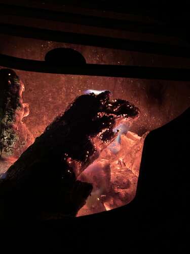 Human tradition for millions of years