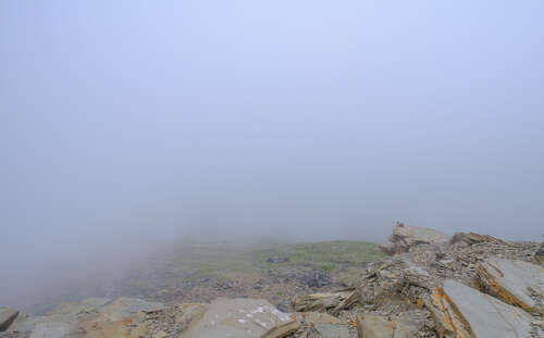 Marmot enjoying the view