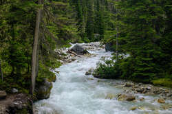 Meeting of the Waters Hike
