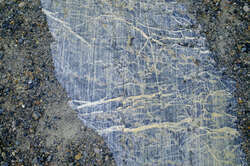 Rocks at the Columbia Icefield