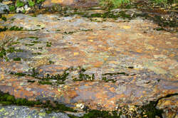 Texture of the Red Rock