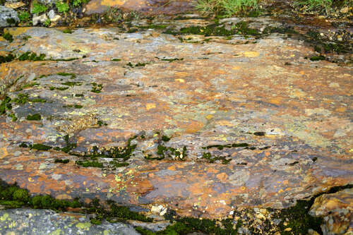 Texture of the Red Rock